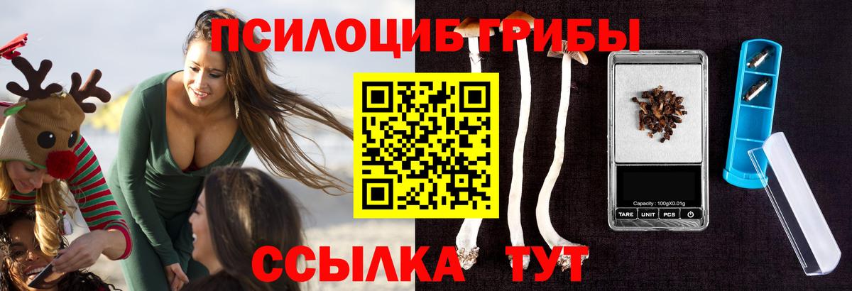 Людиново  Галлюциногенные грибы GOLDEN TEACHER  Вход с VPN 